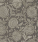 Rivera Embroidery Fabric - Brown 