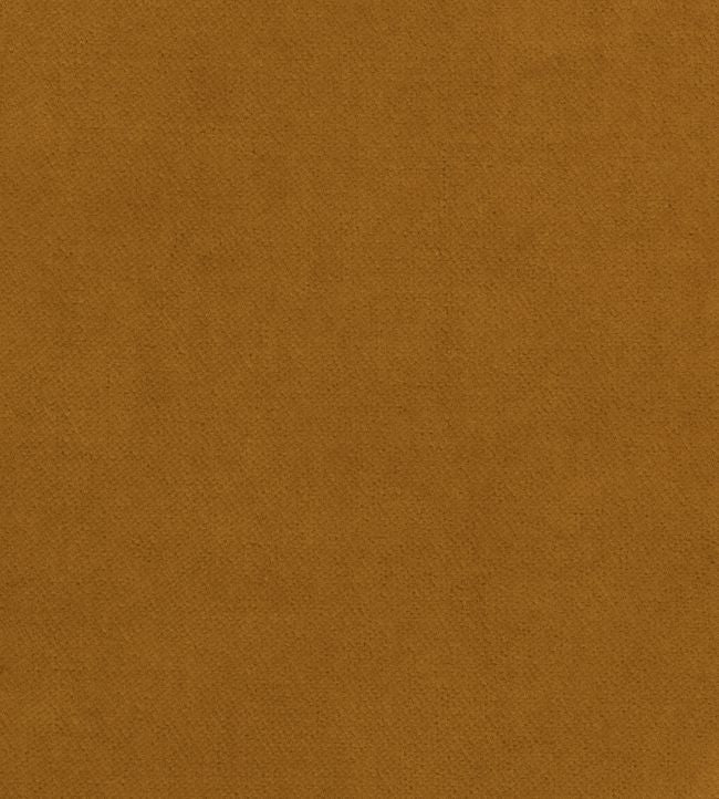 Club Velvet Fabric - Sand 