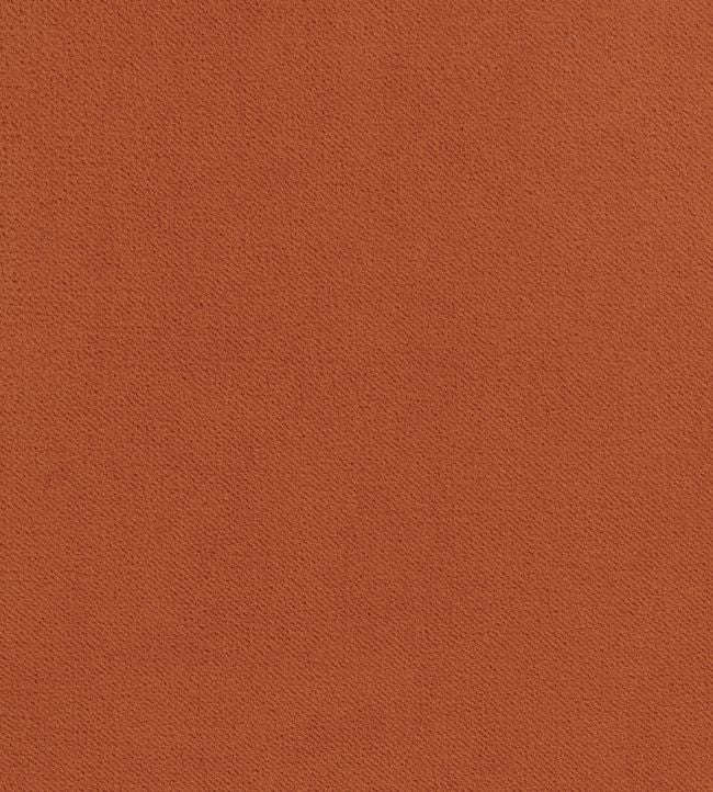 Club Velvet Fabric - Orange 