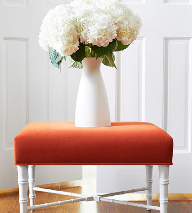 Club Room Velvet Fabric - Orange