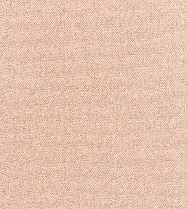 Club Velvet Fabric - Pink 