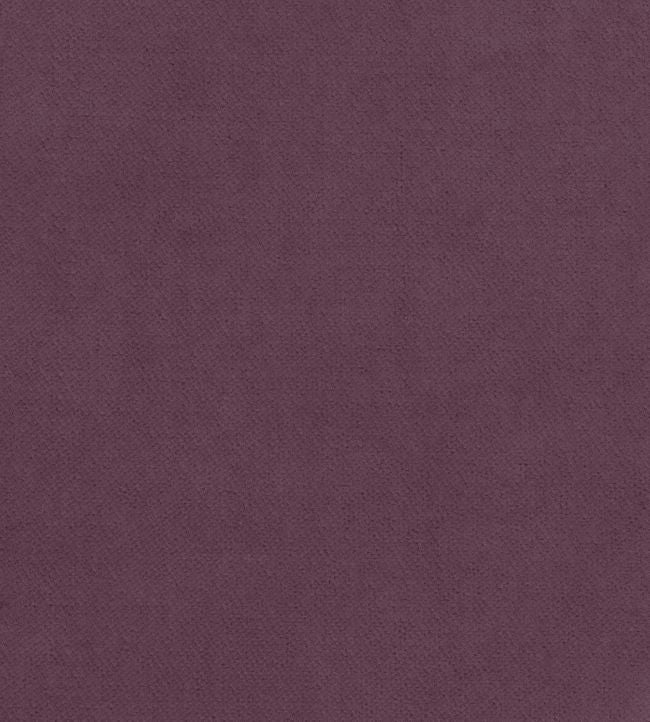 Club Velvet Fabric - Purple 