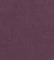 Club Velvet Fabric - Purple 