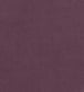 Club Velvet Fabric - Purple 