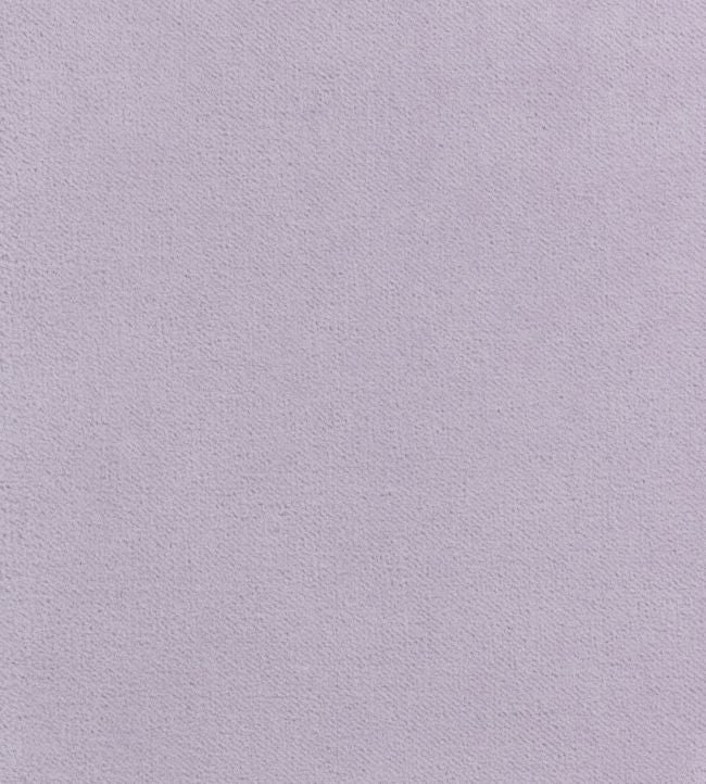 Club Velvet Fabric - Purple 