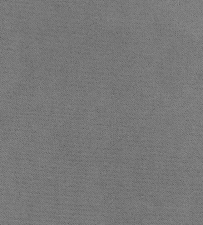 Club Velvet Fabric - Gray 