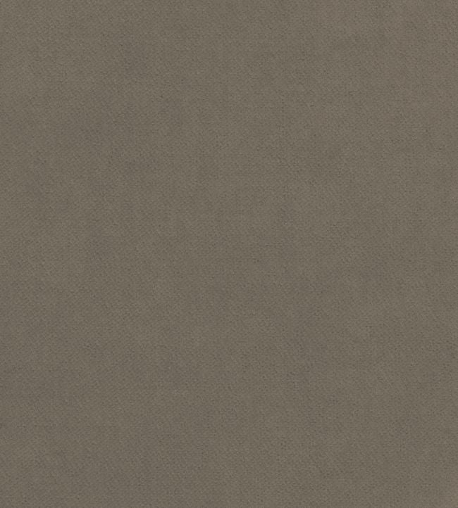 Club Velvet Fabric - Gray 