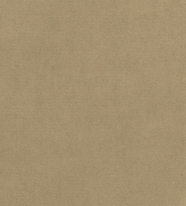Club Velvet Fabric - Sand 