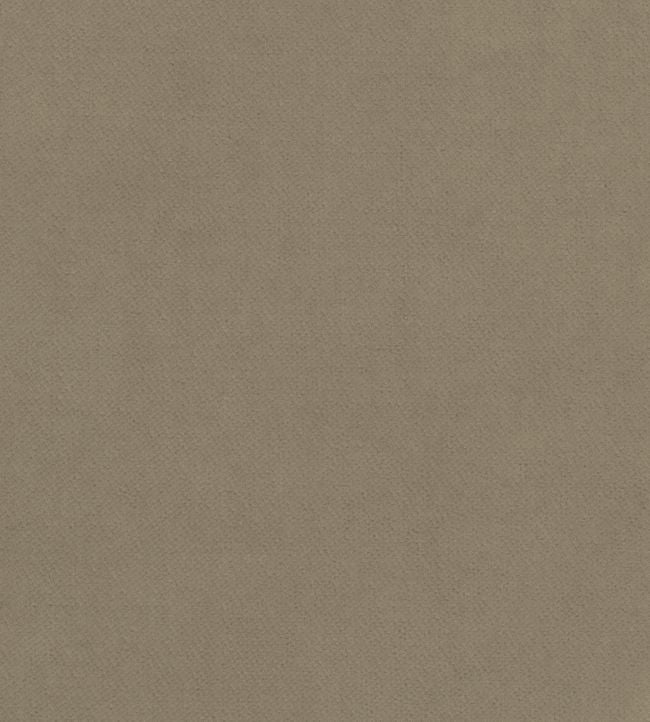 Club Velvet Fabric - Gray 