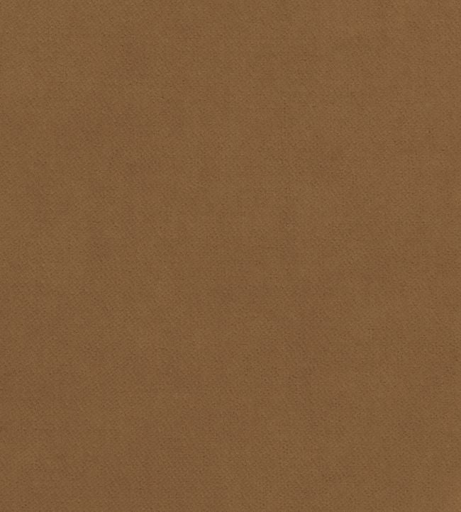 Club Velvet Fabric - Sand