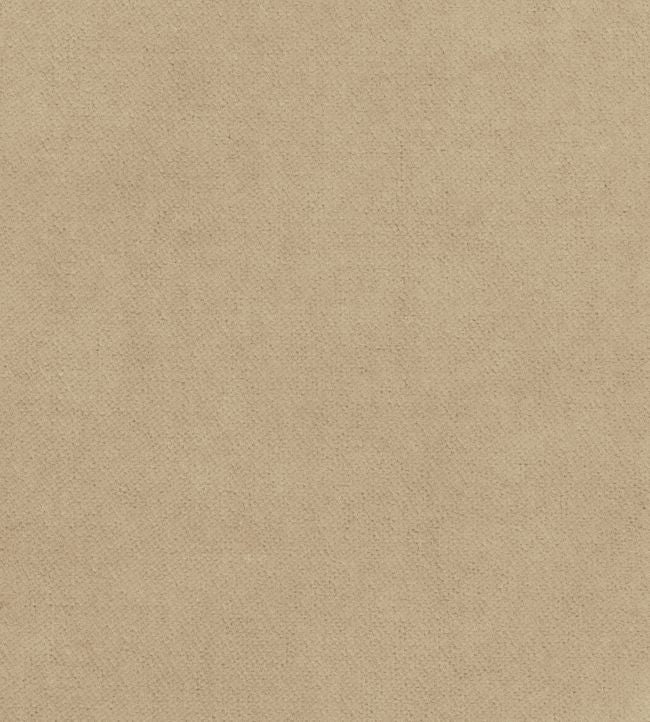 Club Velvet Fabric - Sand 
