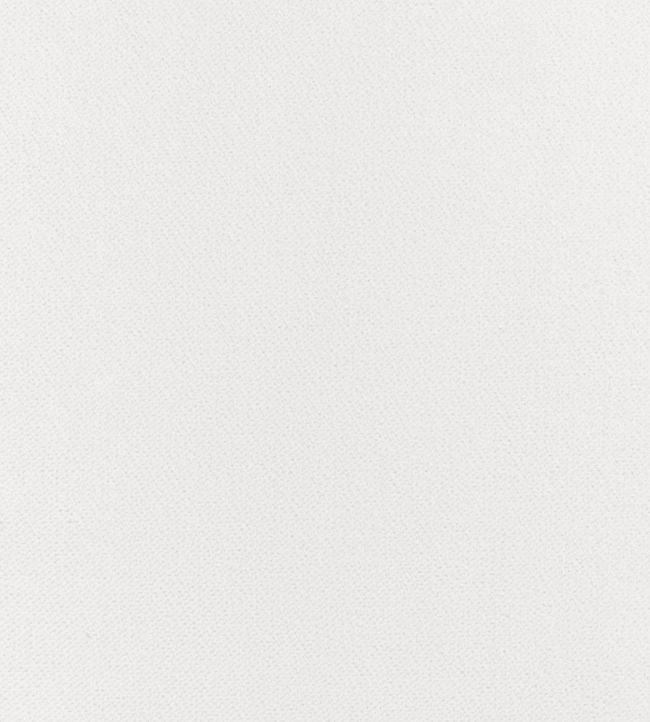 Club Velvet Fabric - White 