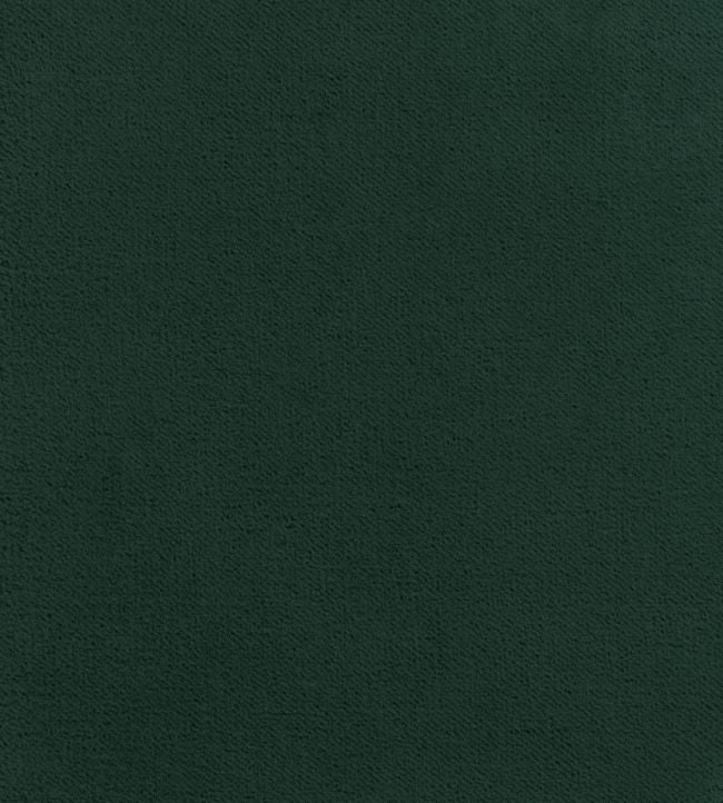 Club Velvet Fabric - Green