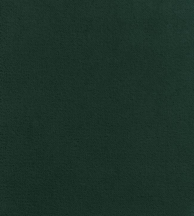 Club Velvet Fabric - Green