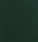 Club Velvet Fabric - Green