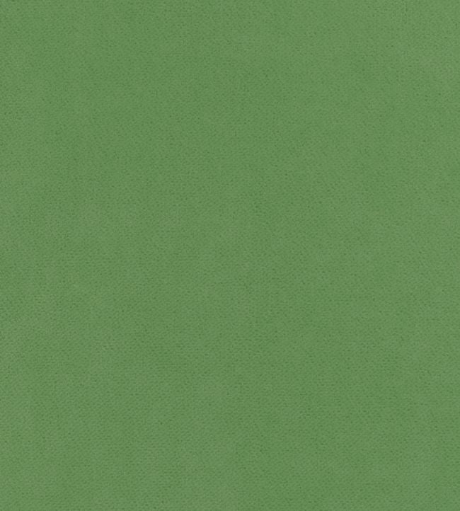 Club Velvet Fabric - Green