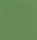 Club Velvet Fabric - Green
