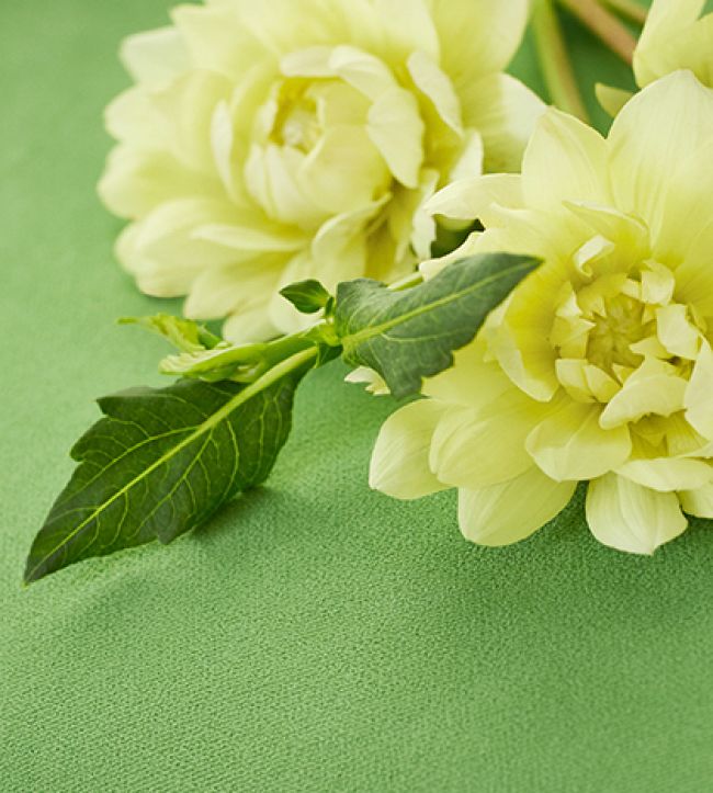 Club Room Velvet Fabric 2 - Green