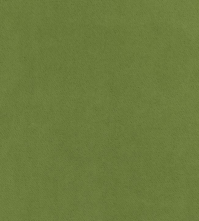 Club Velvet Fabric - Green