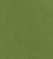 Club Velvet Fabric - Green
