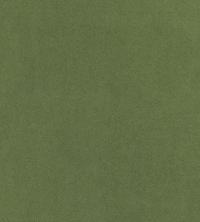Club Velvet Fabric - Green