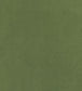 Club Velvet Fabric - Green