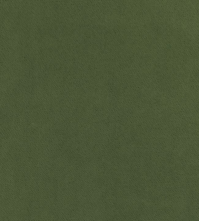 Club Velvet Fabric - Green 