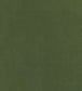 Club Velvet Fabric - Green 
