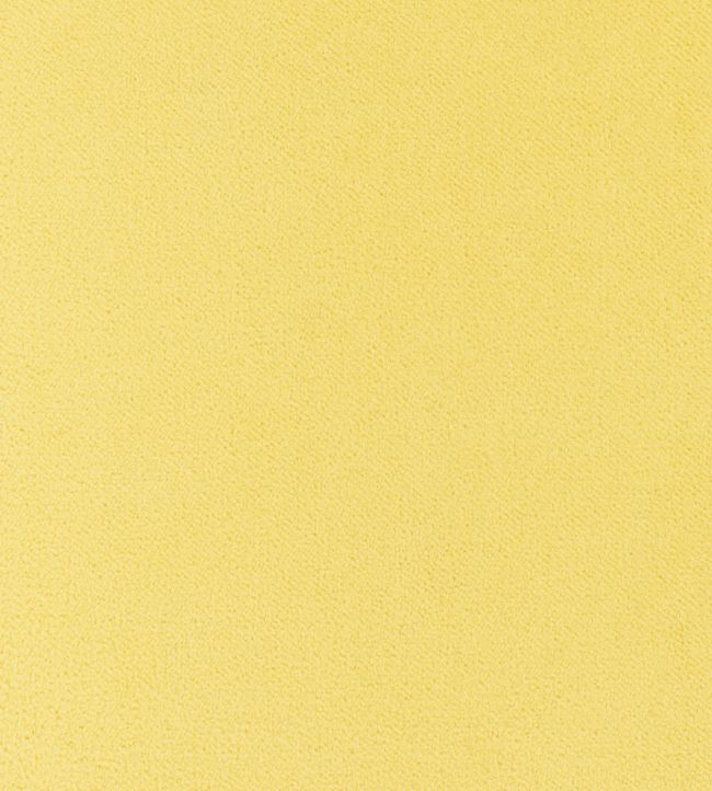 Club Velvet Fabric - Yellow 
