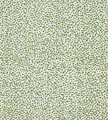 Swing Velvet Fabric - Green 