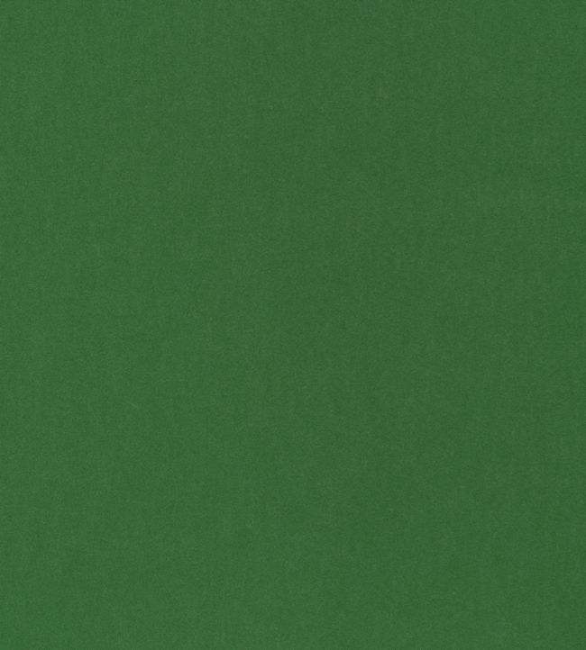 Miles Mohair Velvet Fabric - Green 