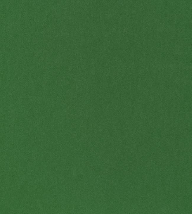 Miles Mohair Velvet Fabric - Green 