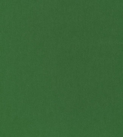 Miles Mohair Velvet Fabric - Green 