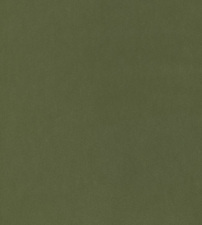 Miles Mohair Velvet Fabric - Green 