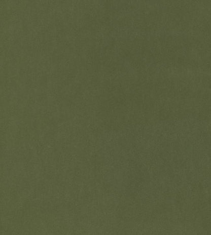 Miles Mohair Velvet Fabric - Green 