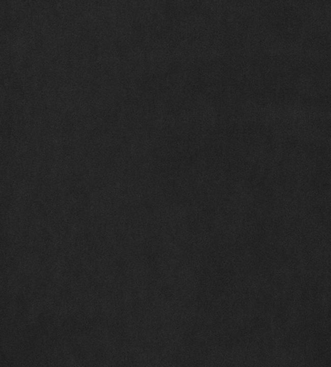 Miles Mohair Velvet Fabric - Black 