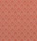 Maddox Fabric - Orange 