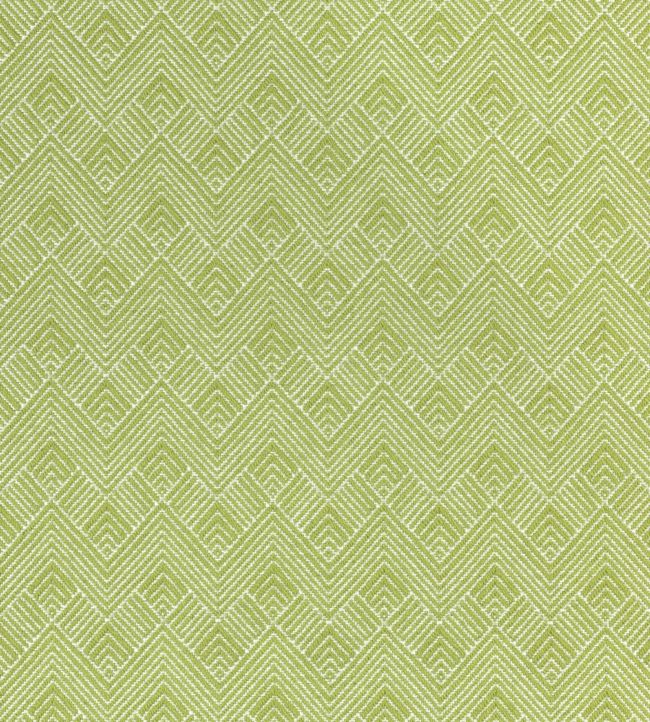 Maddox Fabric - Green 