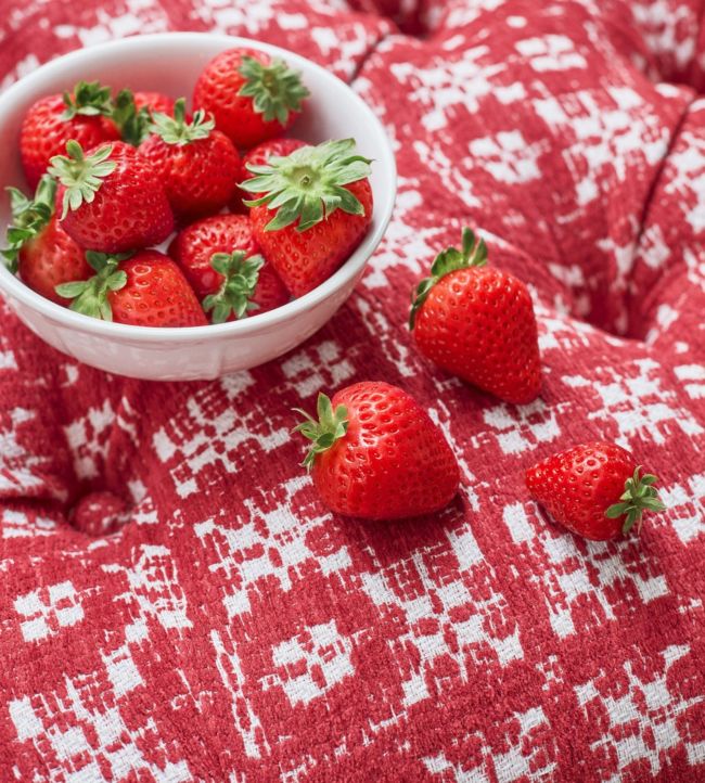 Brimfield Room Fabric 2 - Red