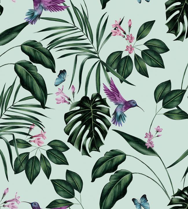 Hummingbird Wallpaper - Green