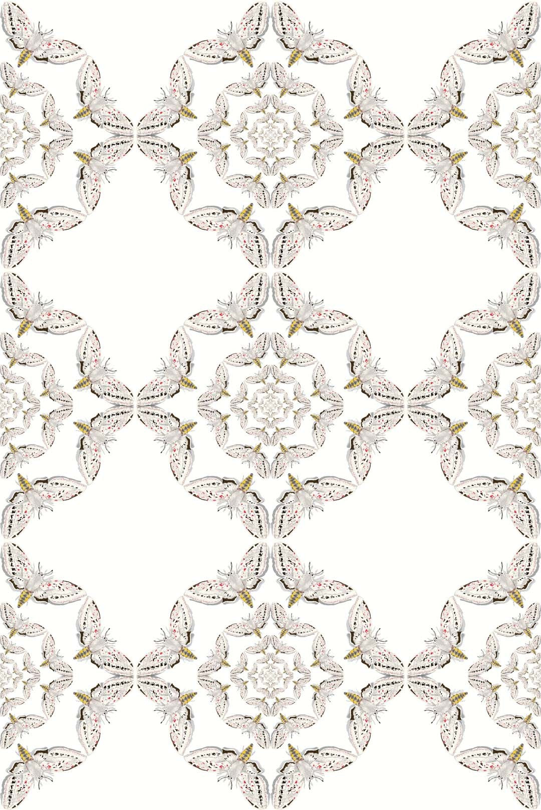 White Moth Circle Wallpaper - White