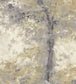 Dapple Wallpaper - Gray