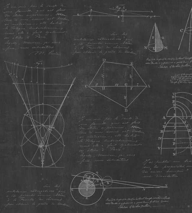 Newton Geometry Wallpaper - Gray 