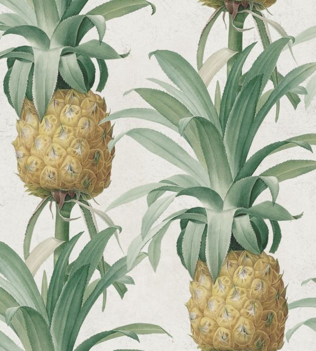 Ananas Wallpaper - Grren