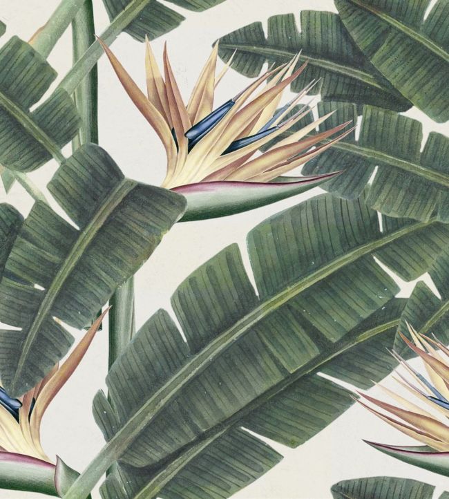 Tropical Bloom Wallpaper - Green