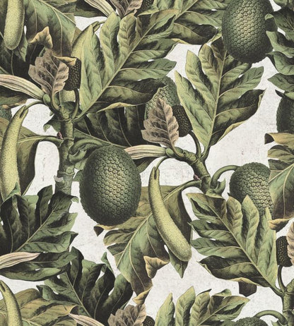 Exotic Fruit I Wallpaper - Green