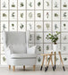 Botany Room Wallpaper - Green