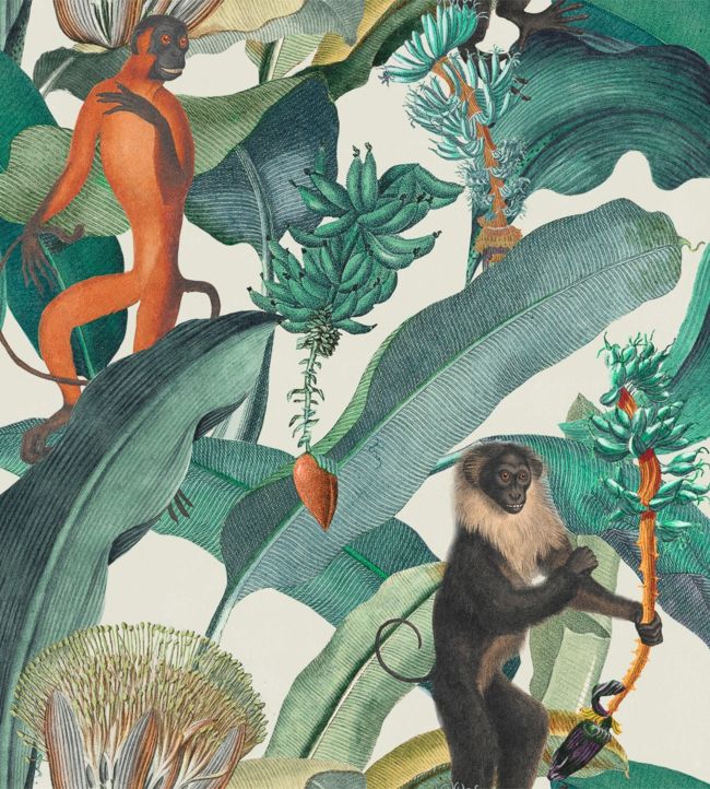 Bermuda Wallpaper - Teal