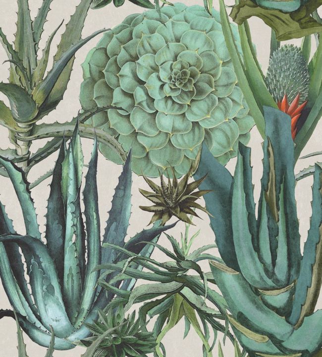 Succulentus Wallpaper - Teal