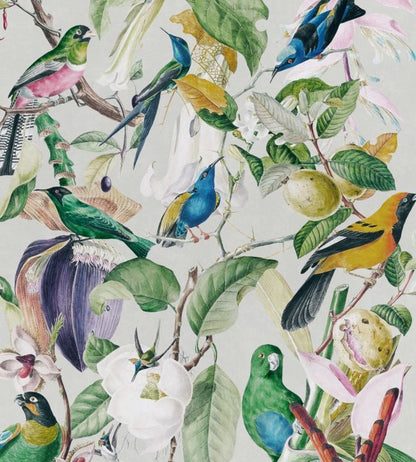 Tropical Birds Wallpaper - Multicolor